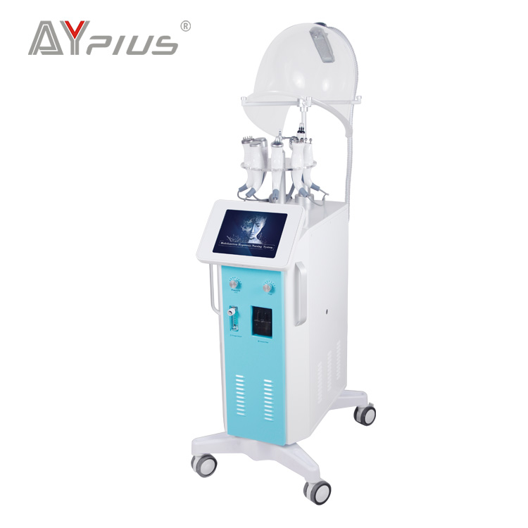 2019 New Skin Care Machine Beauty Equipment  Hydra  with 9 functions  AYJ-Y19