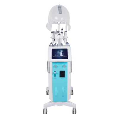 AYJ-Y19(CE) multifunction microdermabrasion oxygen facial machine